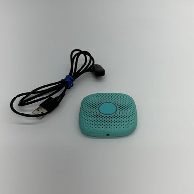 Relay GO Walkie Talkie Device without Cellular Plan