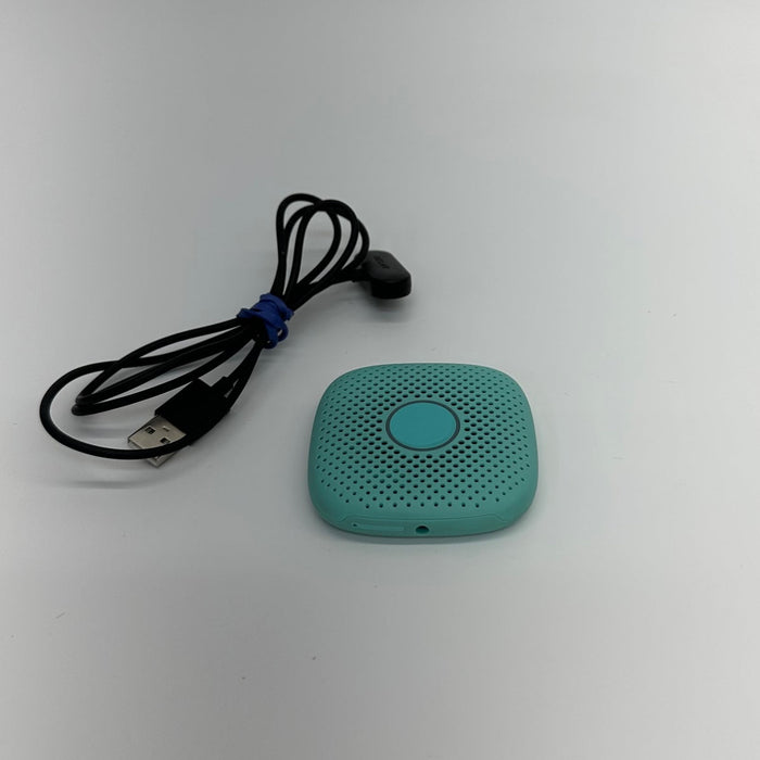 Relay GO Walkie Talkie Device without Cellular Plan